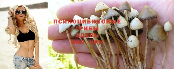 а пвп мука Арсеньев